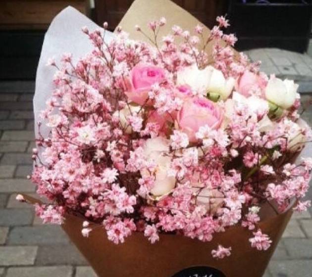 "满天星"的花语,你还知道有多少_颜色_因为_我爱你