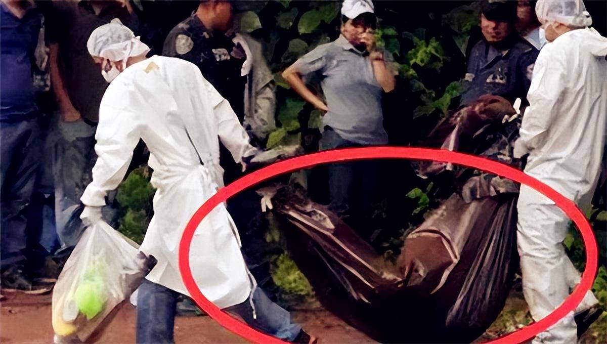 弟弟给姐姐"托梦",找到埋尸点,至今无法解释_张燕_警方_张永成