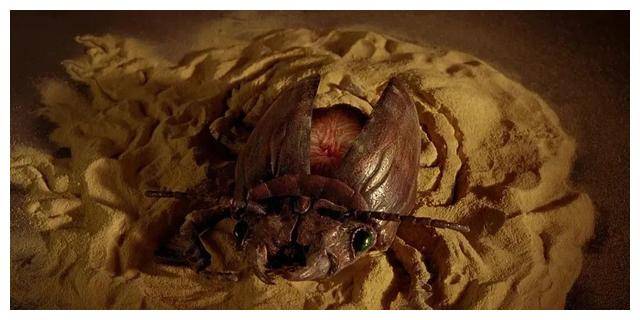 妻子_毒品_世界