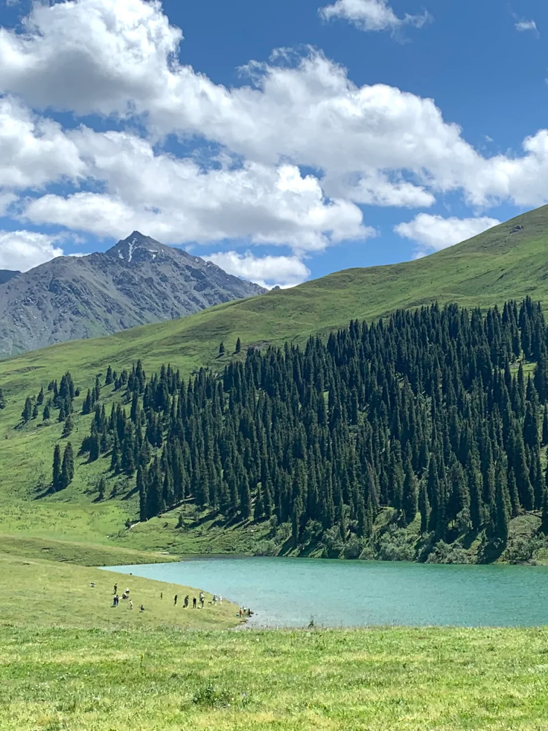 那拉提草原景区简介图片