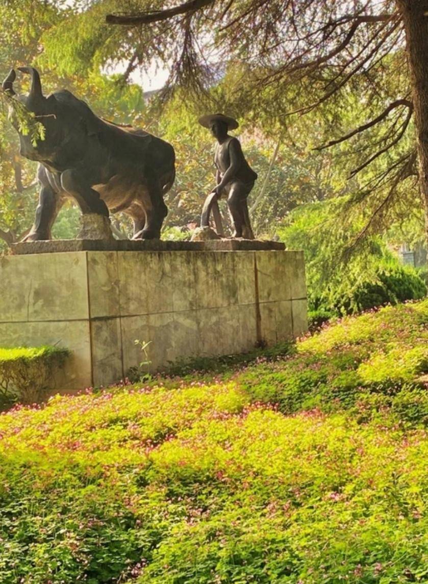 原创上海浦东由由公园五光十色