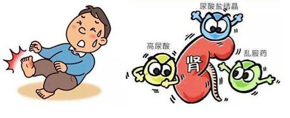 尿酸高了不行,太低了也不行!_水平_风险_功能