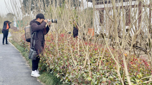 《湖州市桑基鱼塘系统保护规定》集中宣传周各项活动相继开展(图11)