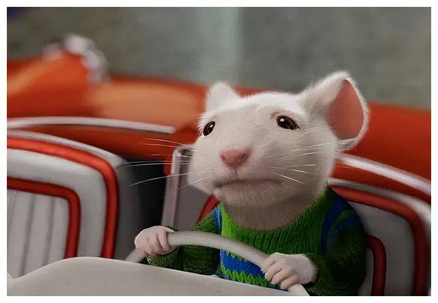 《精灵鼠小弟2》:乌云银边,爱与挑战,温馨爱情故事【改进】