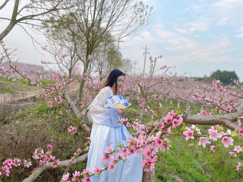 盐亭县花果嫘乡第六届桃花节3月1日启幕_巨龙镇_活动_天水村