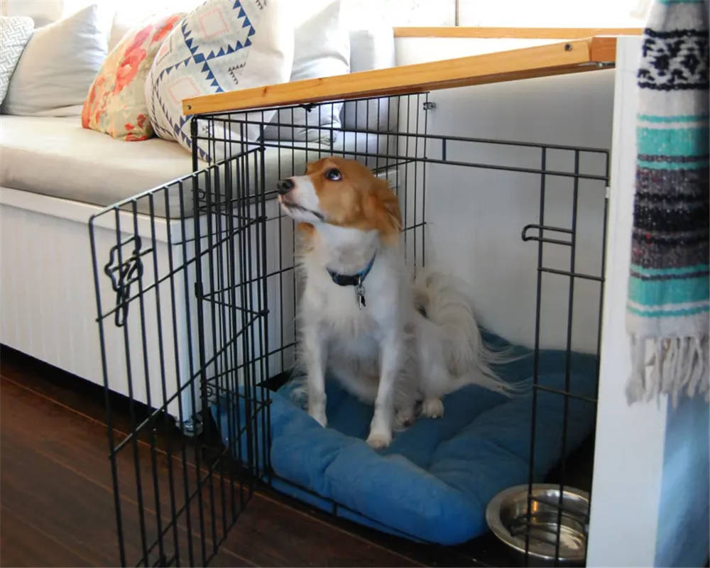 夫妻婚后把车当家,将报废校车变19㎡蜗居住四年,网