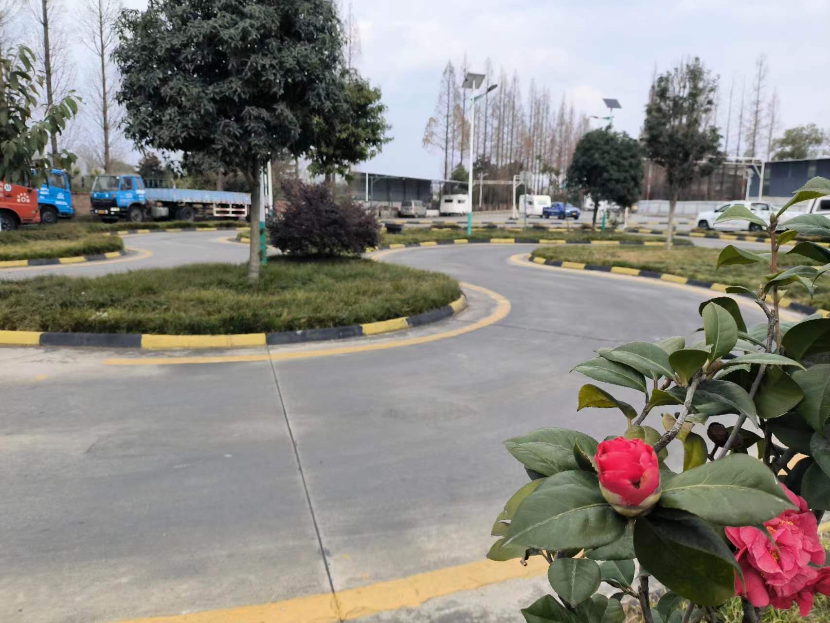 车道_实线_车辆