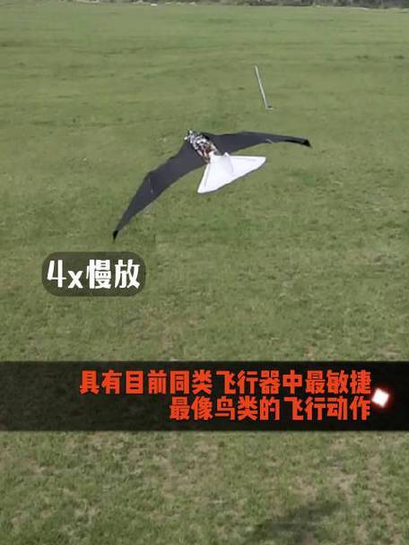 橡皮筋扑翼鸟安装步骤图片