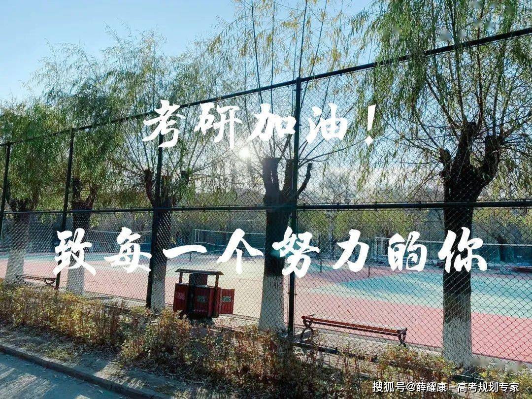 考研党必备的6个官网如何联系导师如何给导师写自荐信