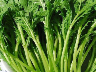 炒茼蒿,到底要不要焯水,很多人都错了,怪不得茼蒿不清脆不好吃_进行