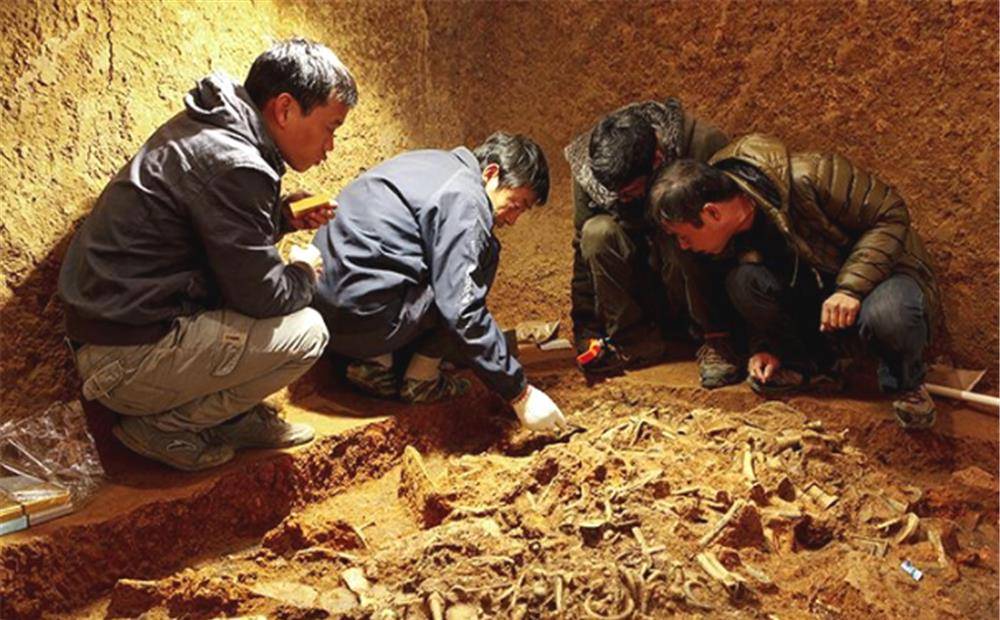 陕西一个4平米小墓出土珍宝价值连城究竟是谁被埋在这里