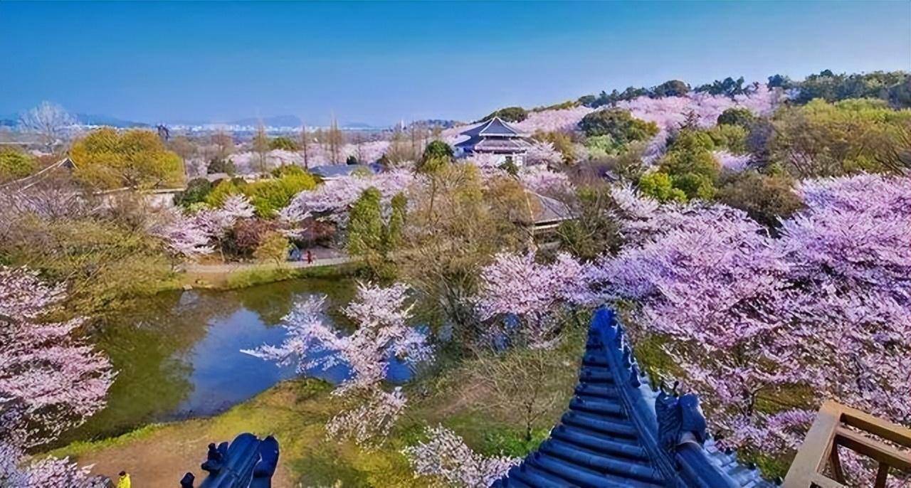 诗的前两句由岸到江,由画意入诗情,诗中有画,画中有诗.