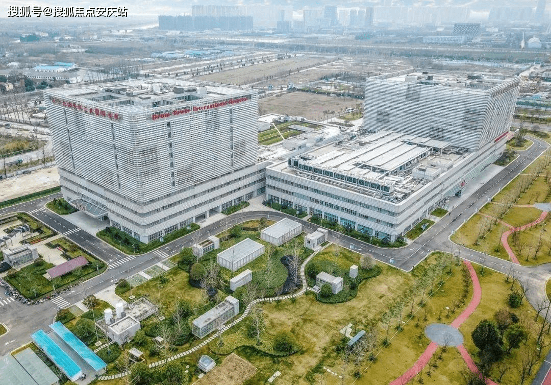 在低密豪宅产品十分稀缺的当下,林语山墅,林景紫园,林景兰园不仅能一