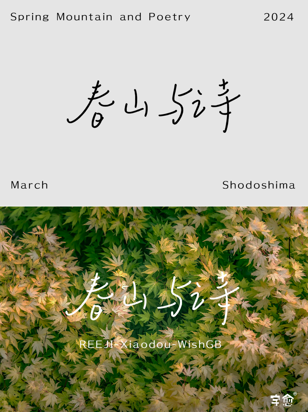 春日清新手写体合集,满满文艺范,太"字"愈了!_小豆_文字_自然