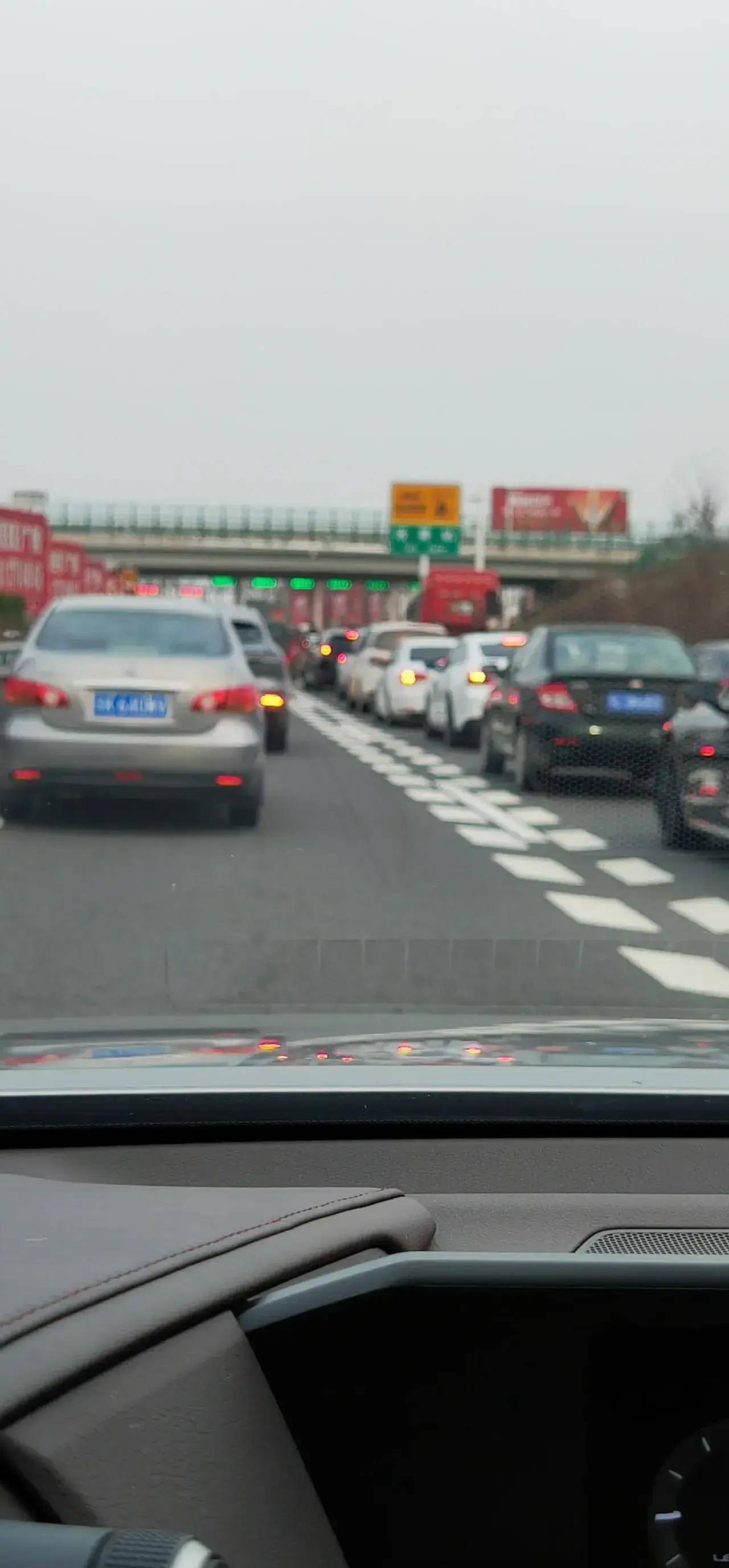 到底免费放行规定牌子有什么用_道路_出行者_管理