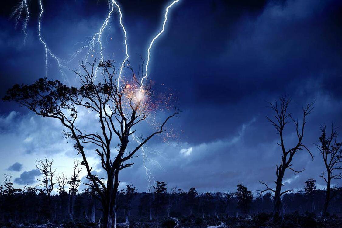 民间流传着"未蛰先鸣"的说法,如果在惊蛰正式到来之前就出现打雷现象