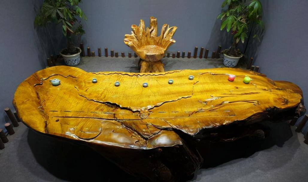 金丝楠木那么贵,树苗12元为何却没人愿种?_种植_价值_树木