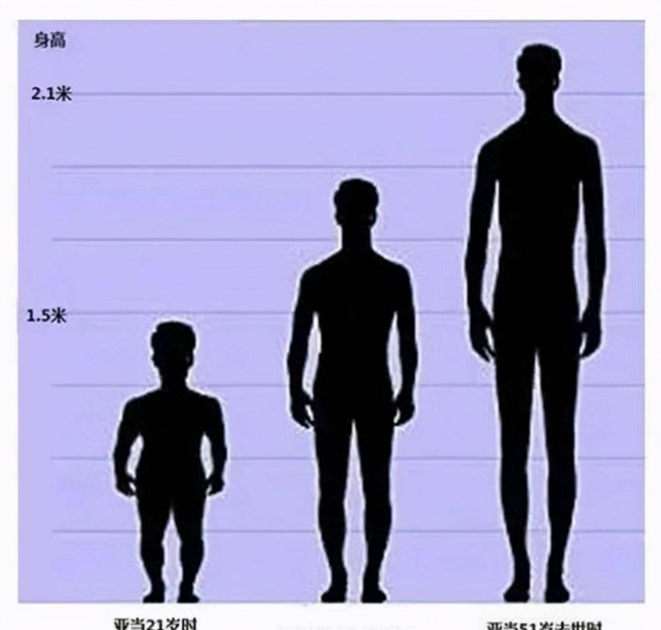 雷纳尔:前半生是1米22的侏儒,后半生是2米16的巨人,他经历了啥_身高