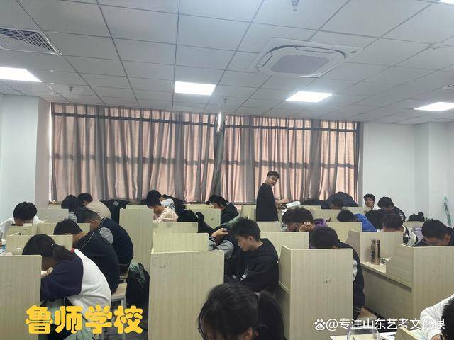 潍坊艺考文化课冲刺指导:掌握技巧,黑马未必不是你_科目_复习_备考