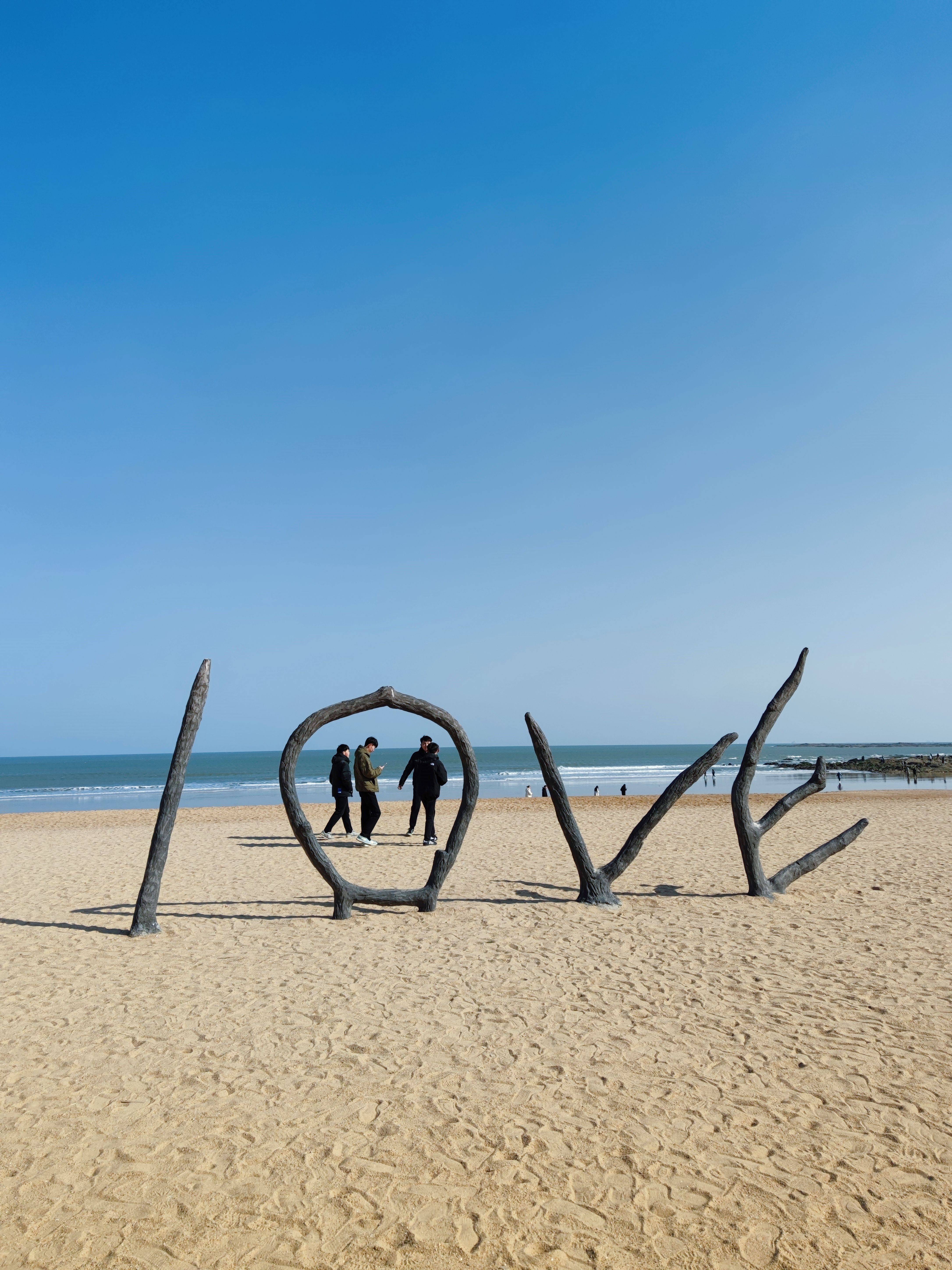 去日照8次了,一定要说的真相_建议_海鸥_世帆