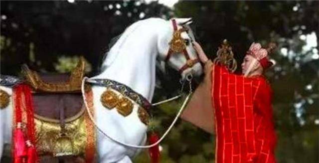 还记得86版西游记里的白龙马吗?剧组解散后,它的结局如何?