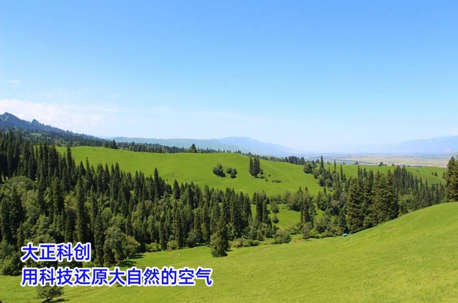 大正科创:森林空气中的能量治愈之源_负离子_净化_供应