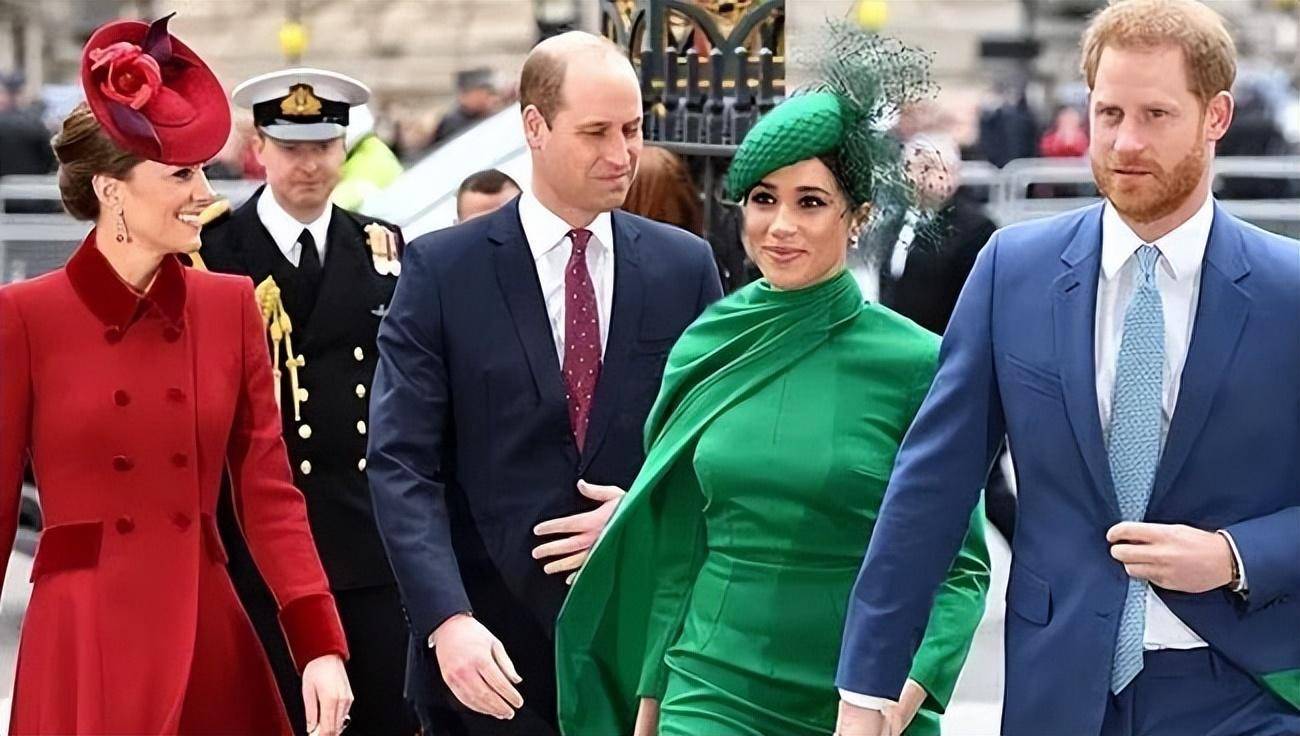 梅根王妃野心不小,正在筹备新自传,要把整个王室拉下神坛_哈里_查尔斯