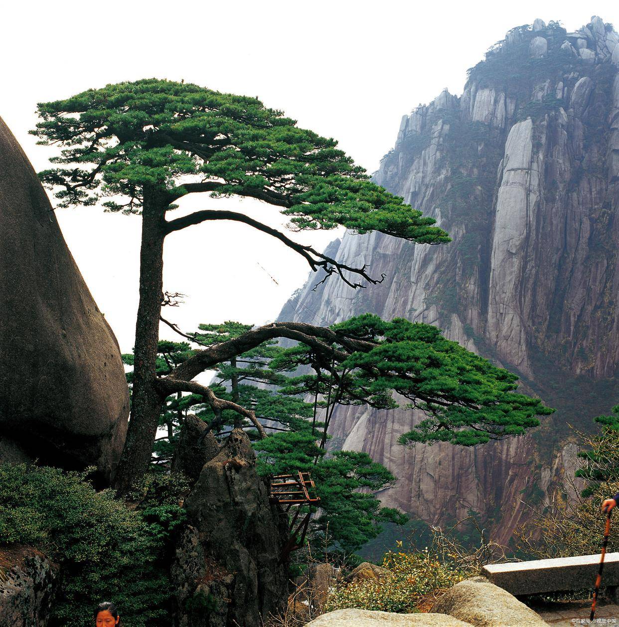 黄山旅游报团