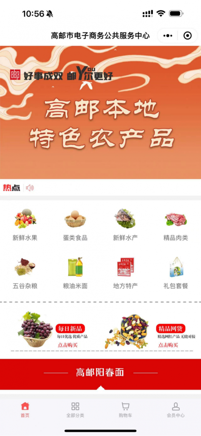 高邮网站排名优化 来自搜狐网