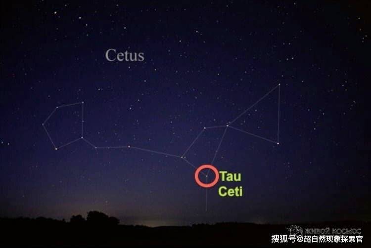 因为所谓的"矮"恒星在太空中比较大的恒星更常见.