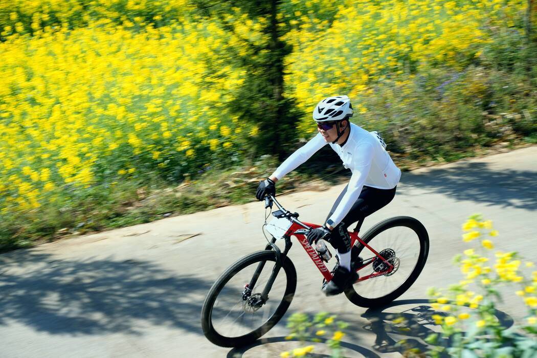 罗平县委书记海建才出席开幕仪式并宣布开幕,罗平县委副书记,县长王玮