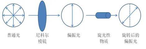 甘氨酸的旋光性图片