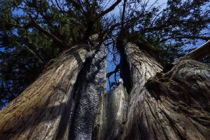 到人间净土,见闻增福_东山寺_寺庙_tips
