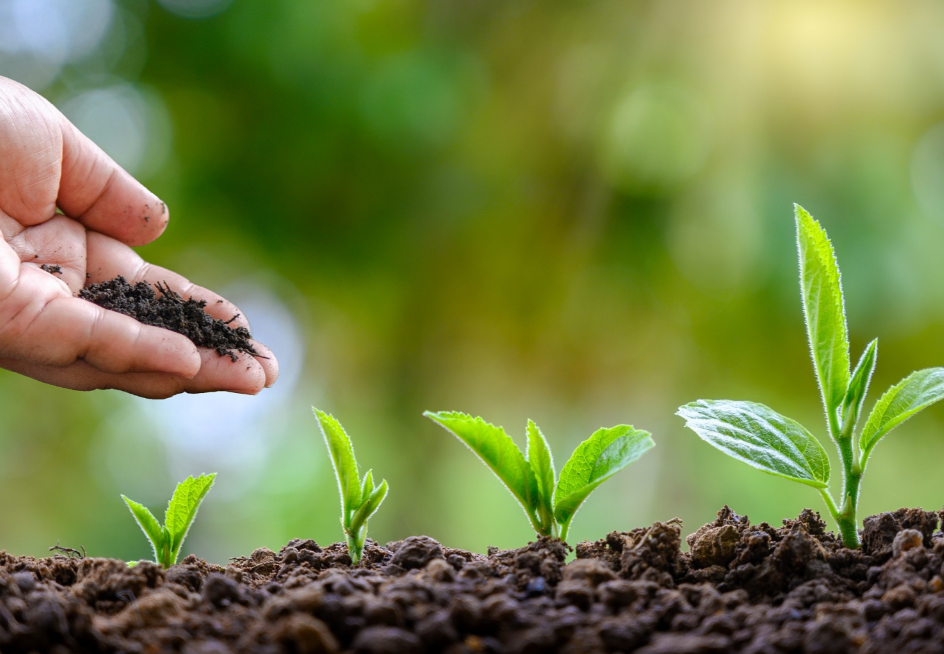 归农商城丨归农电商:科技引领,共创高效生态未来_农业_绿色_农产品