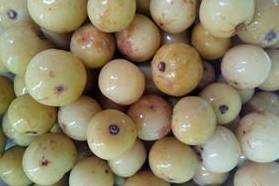 原创油金子价格上涨小时候的野味悄悄翻了身