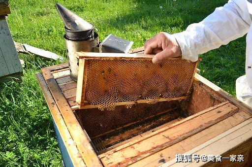 原创养殖蜜蜂时多出的废旧巢脾该如何处理呢