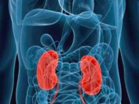 原创尿毒症是怎么引起的实不相瞒或许和下面这2大问题有关