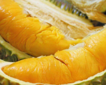 原创以后去印尼买榴莲价格是国内五分之一吃货们有口福了