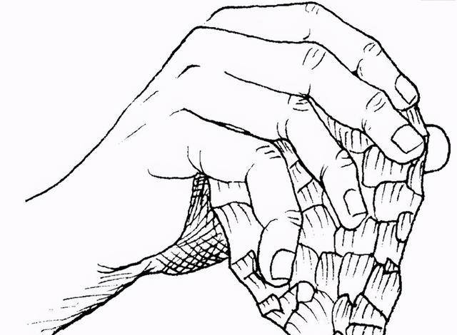 原创为何中国人是黄种人一个隐私部位的秘密揭开了性的选择与进化