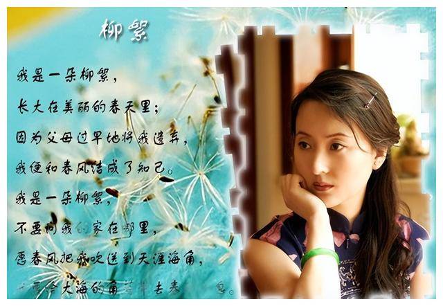 陈晓旭_红楼梦_成功
