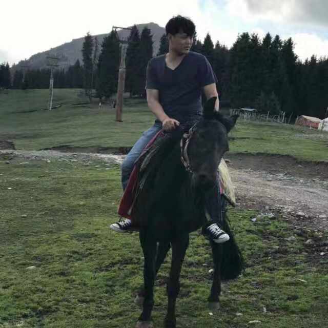 24年高效模拟题备考成考高升专本理科综合考试题库3