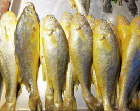 小黄鱼_时候_能够帮助