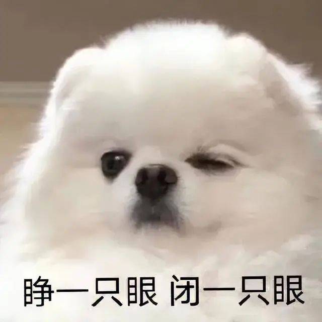 结果来往的客人都拿着一把圈往狗子脖子上套.