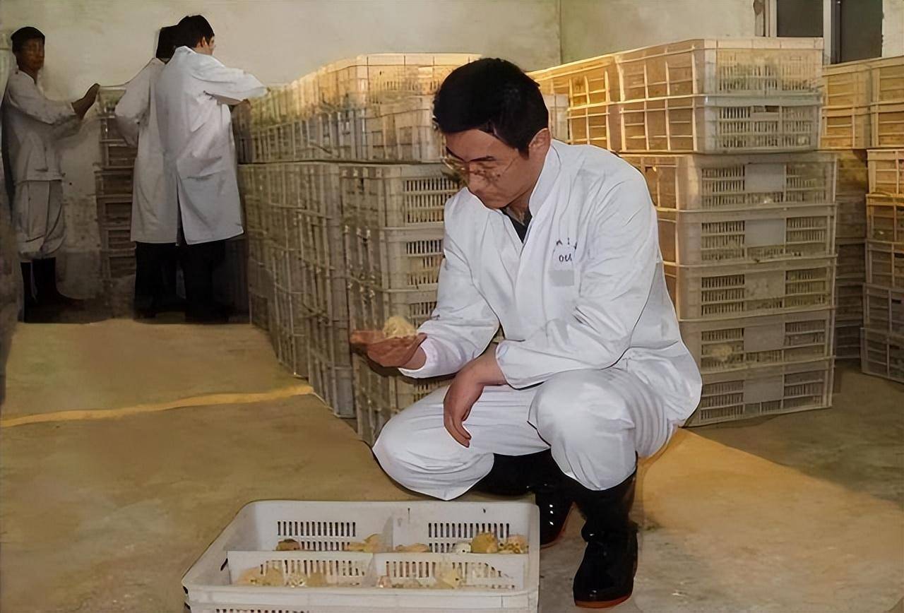 原创广东1所农业大学走出常州曲靖3位富豪靠生产饲料养猪养鸡上榜