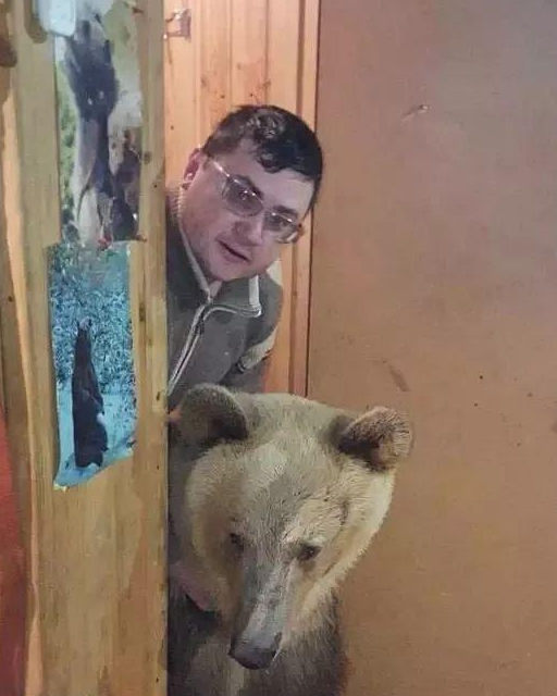 流浪熊崽被好心人收养后,自己赚钱养家,给主人减轻压力_斯捷潘_熊是_