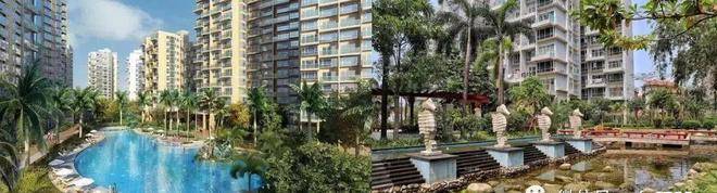 深圳龙华卓能雅苑卓能雅苑首页网站丨卓能雅苑欢迎您房价户型楼盘详情