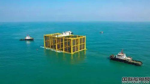 实现三文鱼自由国内首座近海海水三文鱼养殖网箱交付使用