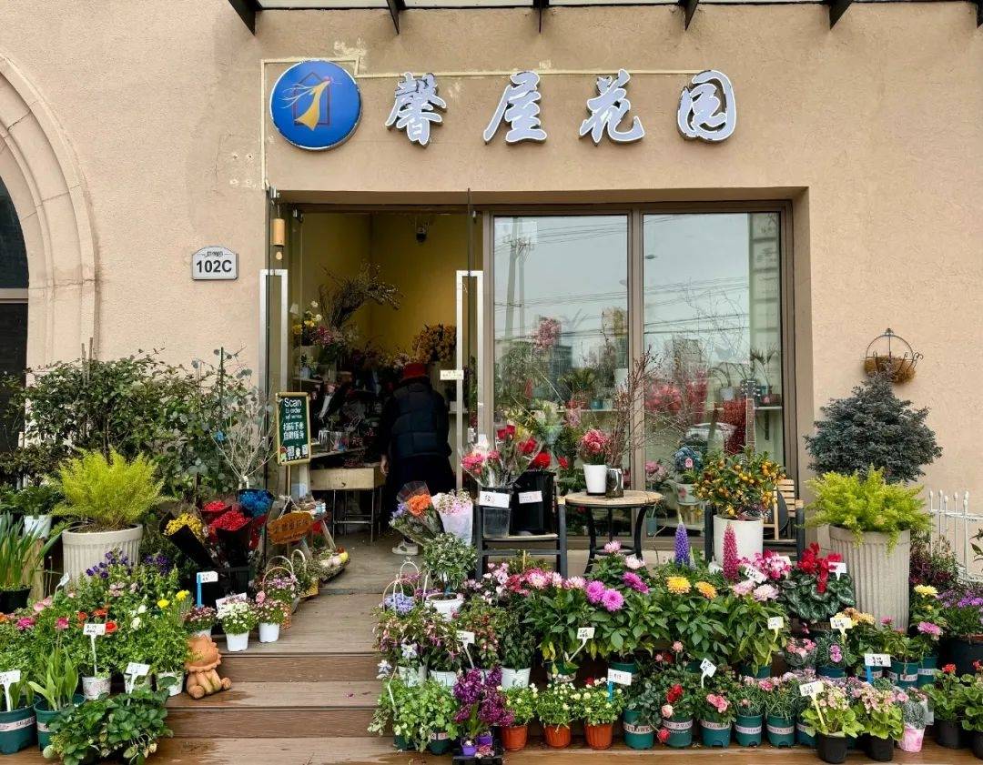 开在九里亭的无人花店满屋飘香付款全凭自觉