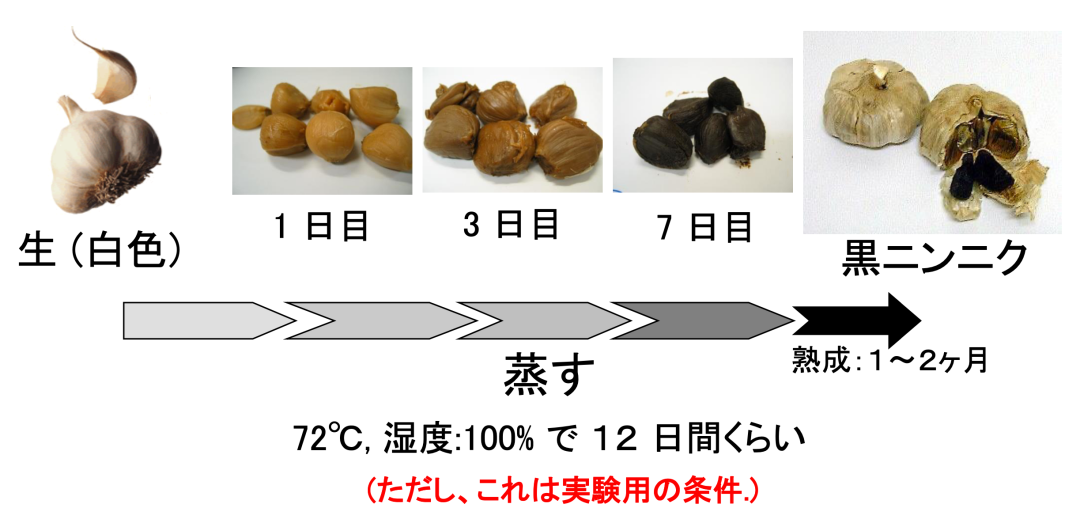 女性健康食品新宠儿黑蒜