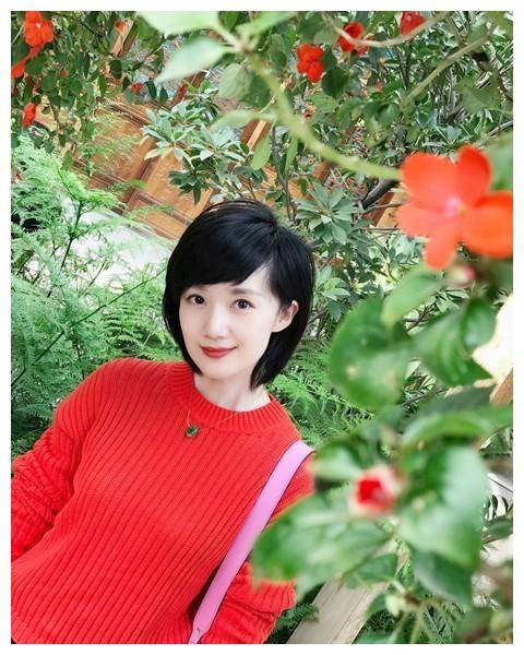 节目_丁丽_专业